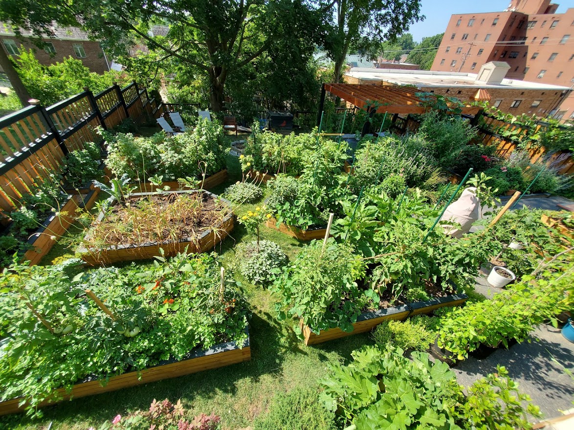 Sustainable Garden Gallery