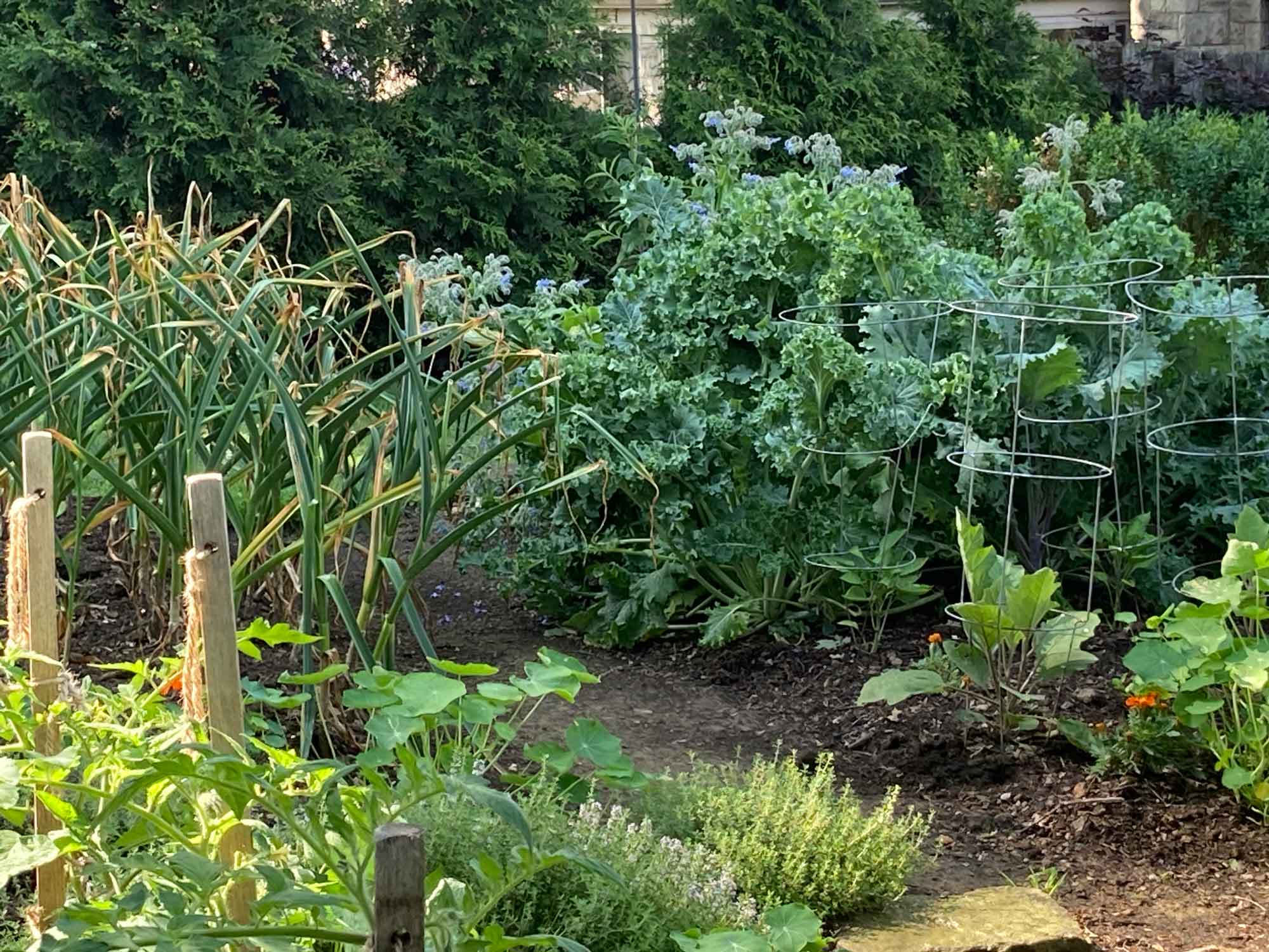 Sustainable Garden Gallery Sustainable Garden Gallery