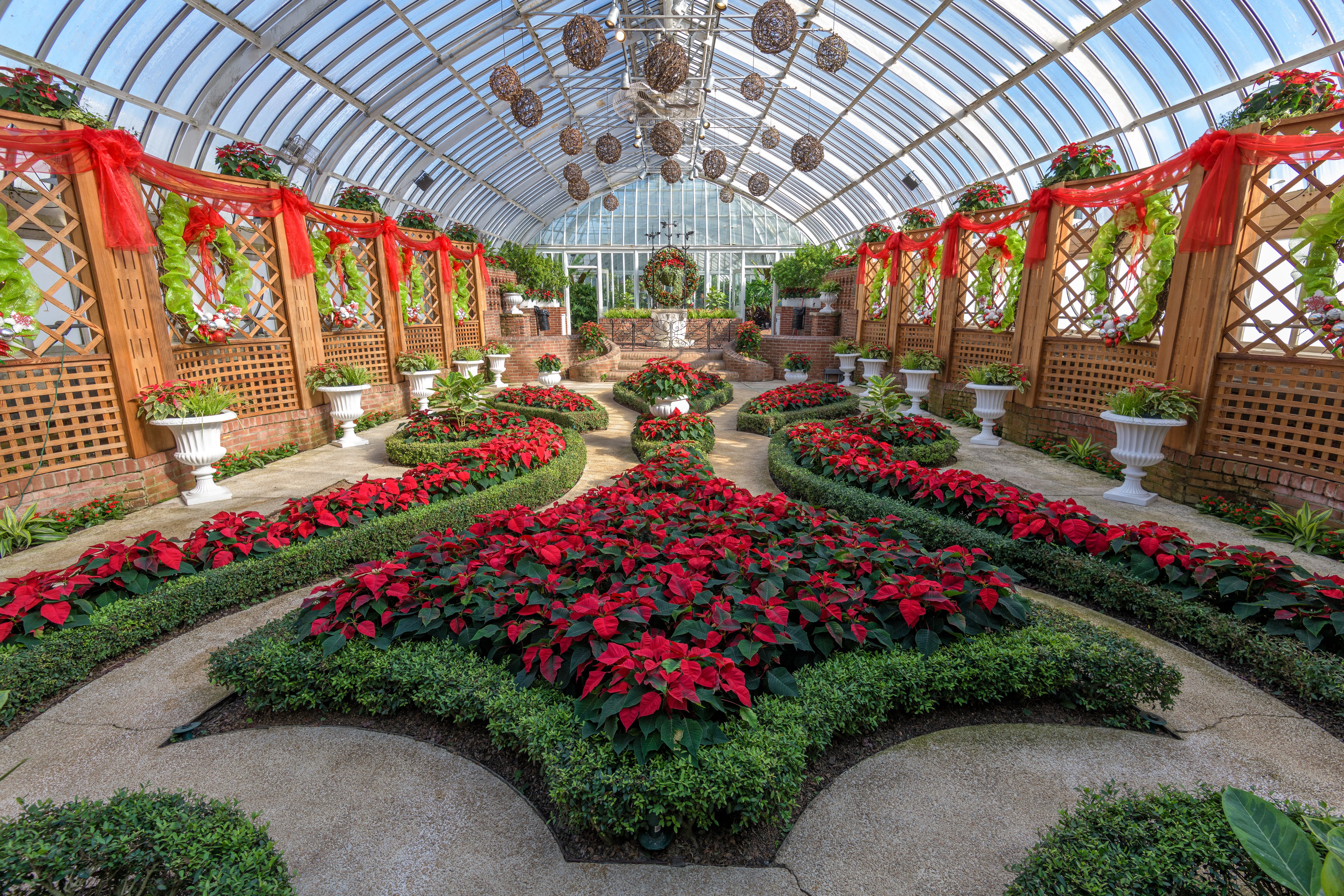 Winter Flower Show: Home for the Holidays