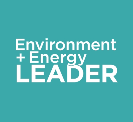 2021 Top Project Award, Environment + Energy Leader