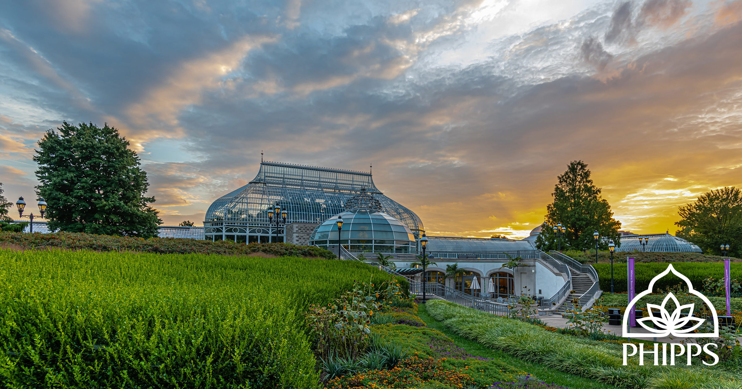 Phipps Conservatory Announces Extended Hours for Summer Flower Show: Back in Bloom