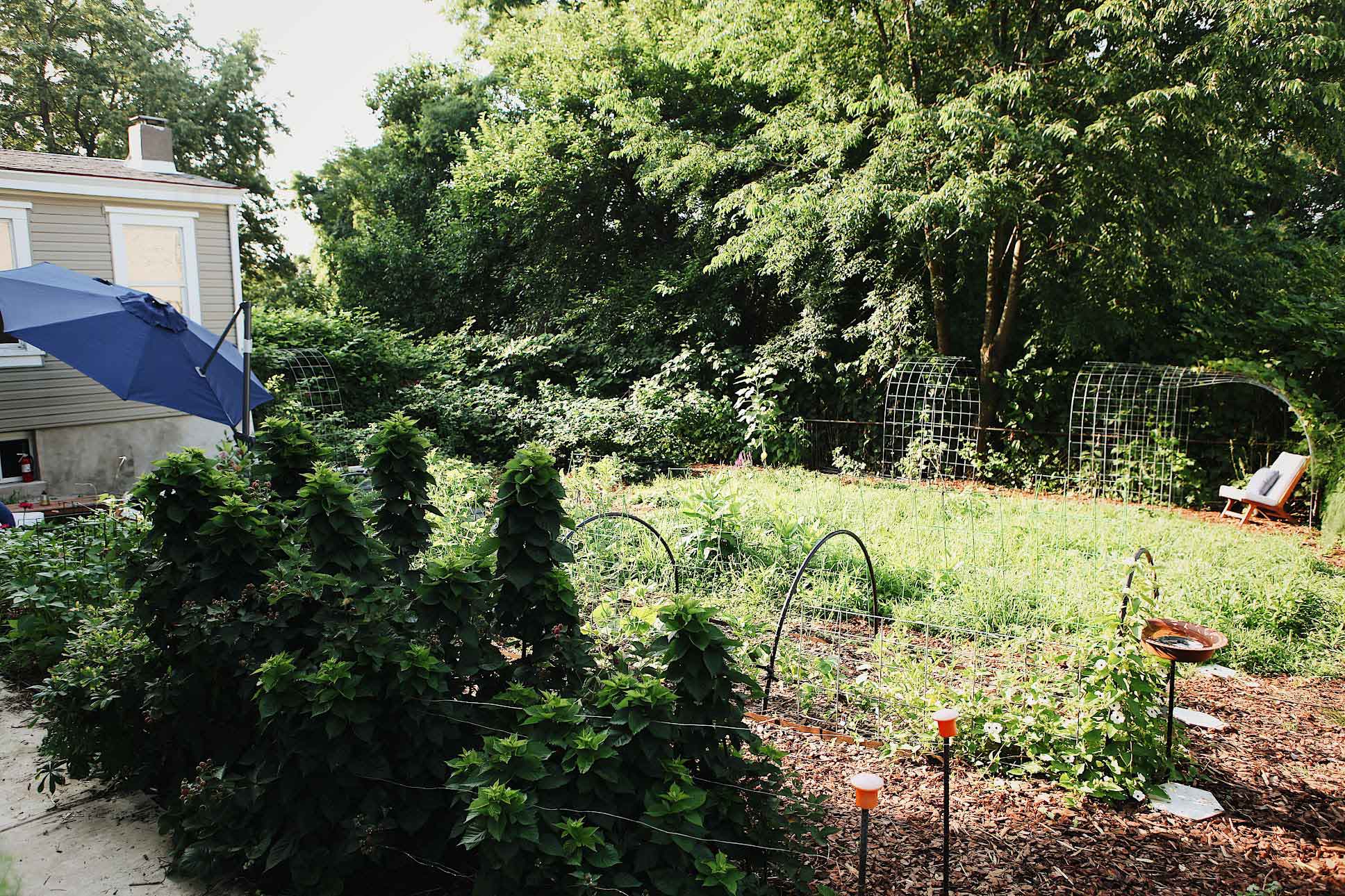 Sustainable Garden Gallery Sustainable Garden Gallery