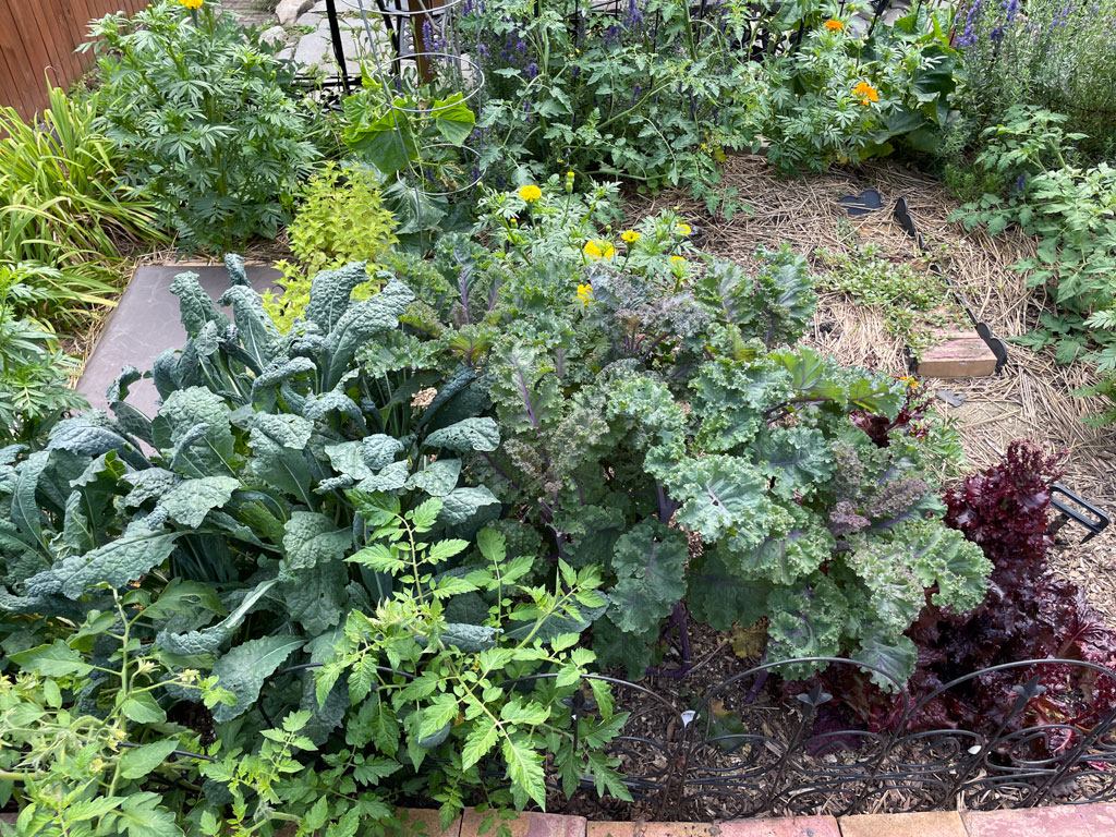 Sustainable Garden Gallery Sustainable Garden Gallery