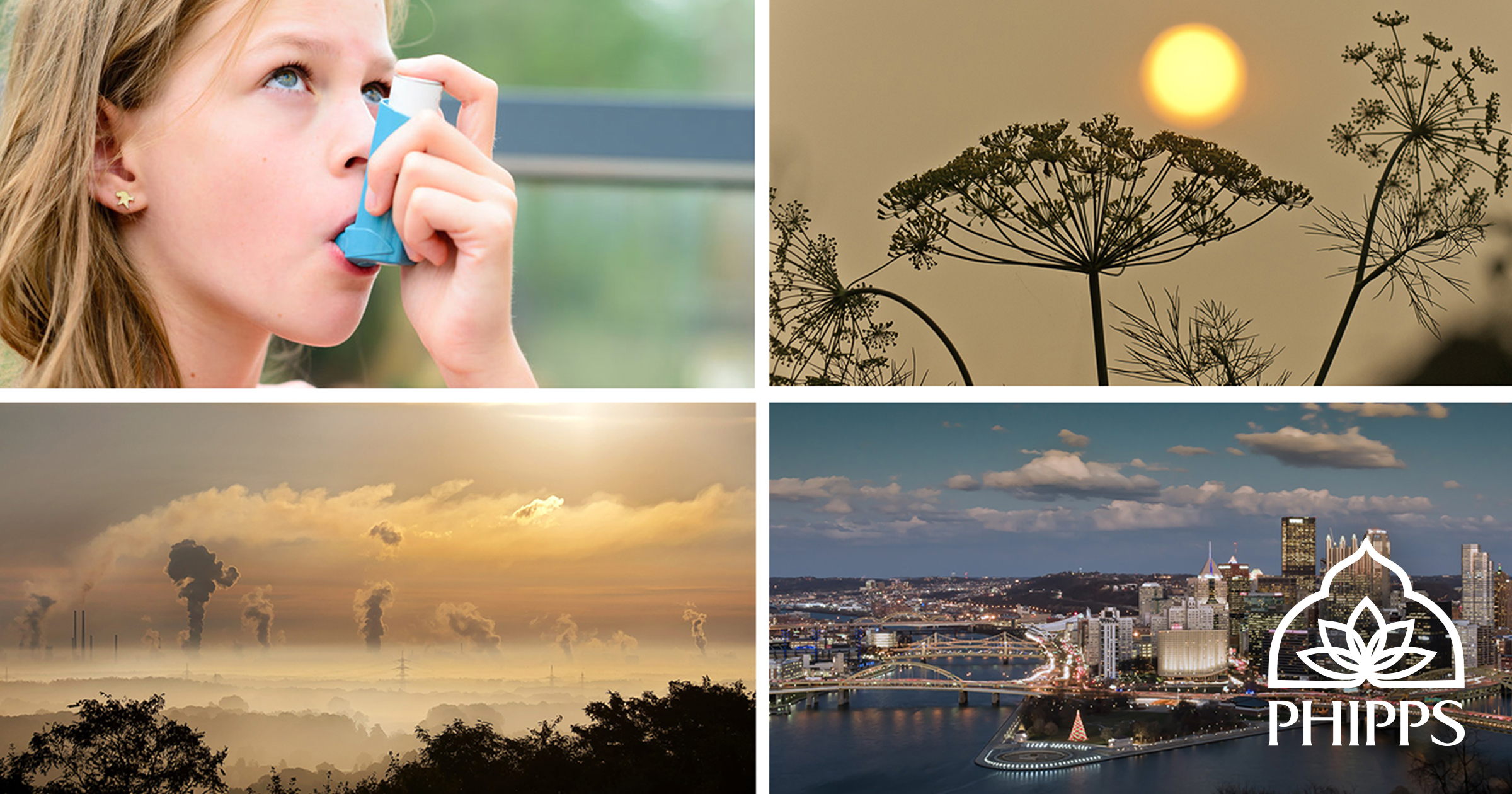 Virtual One Health One Planet