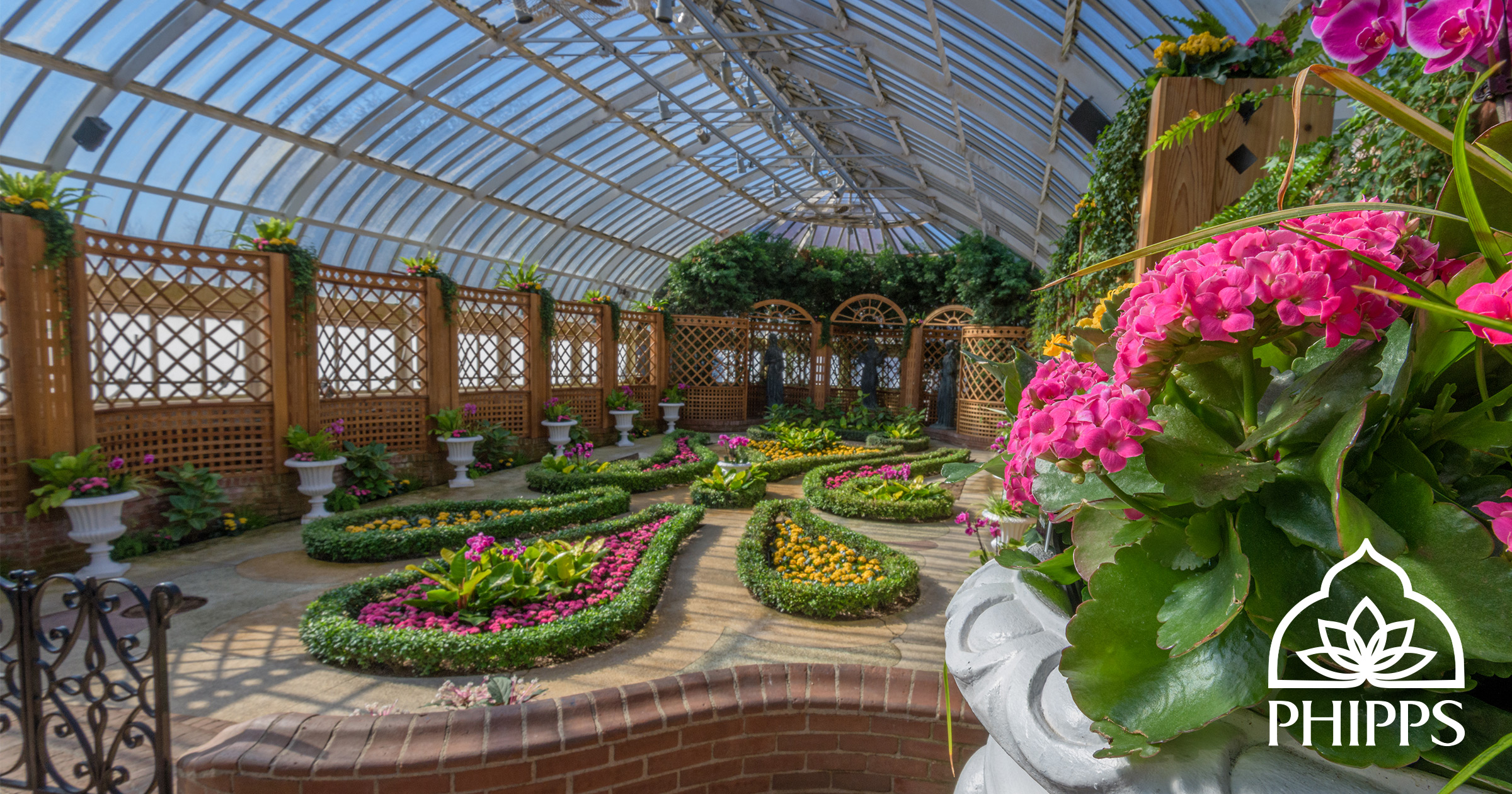 Phipps Conservatory Invites Guests to Stay Connected Virtually