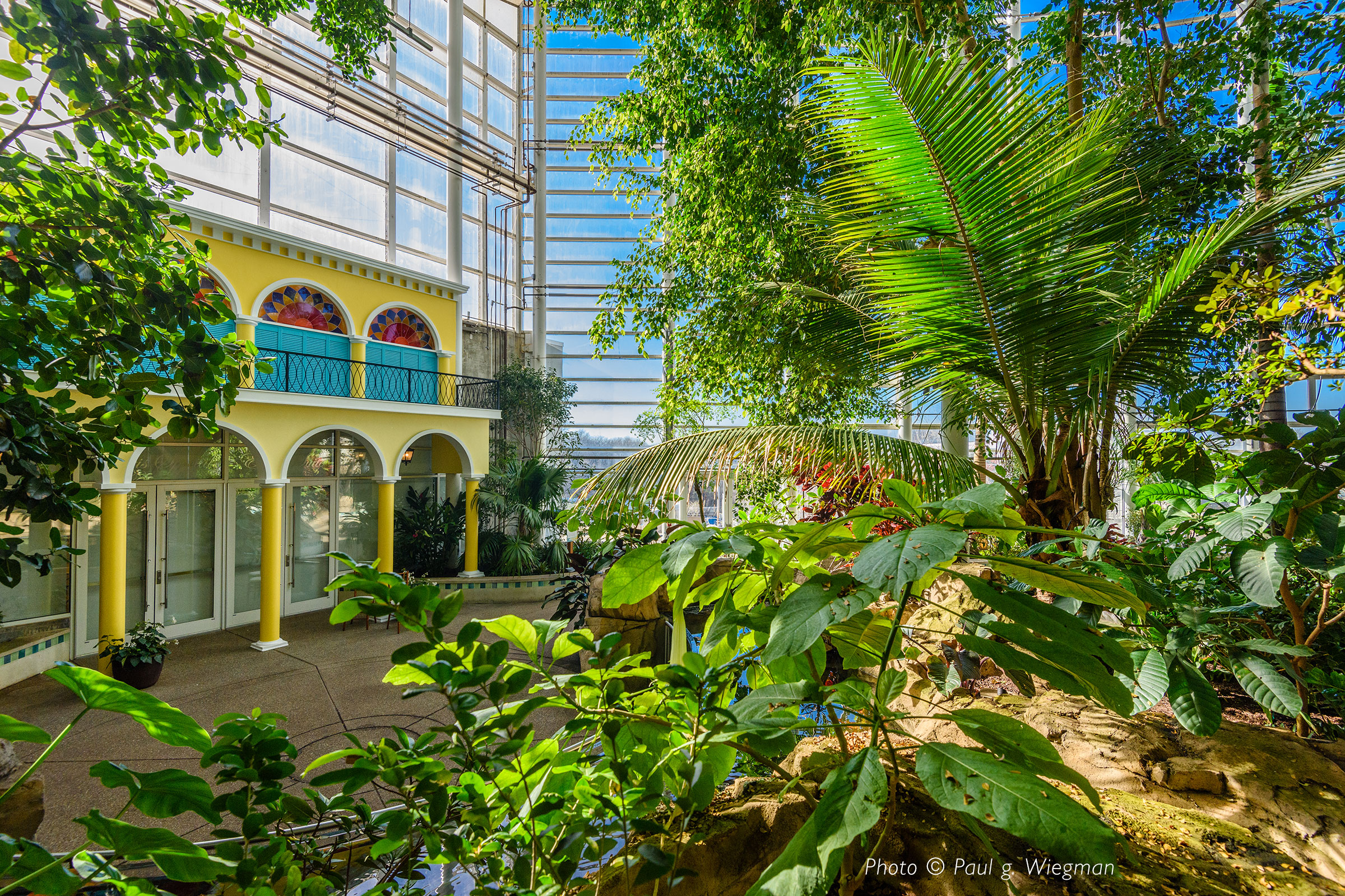 Tropical Forest Patio