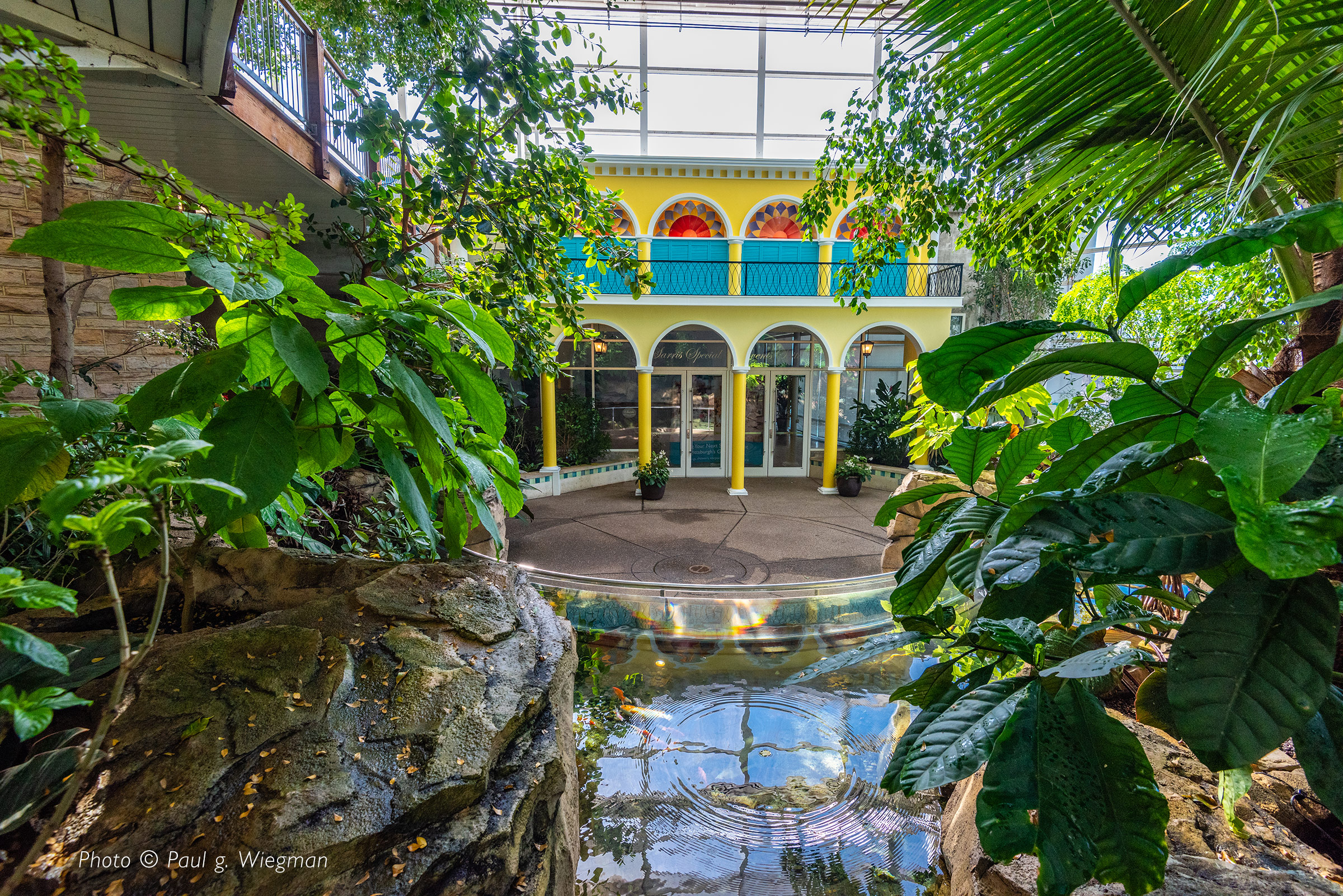 Tropical Forest Patio