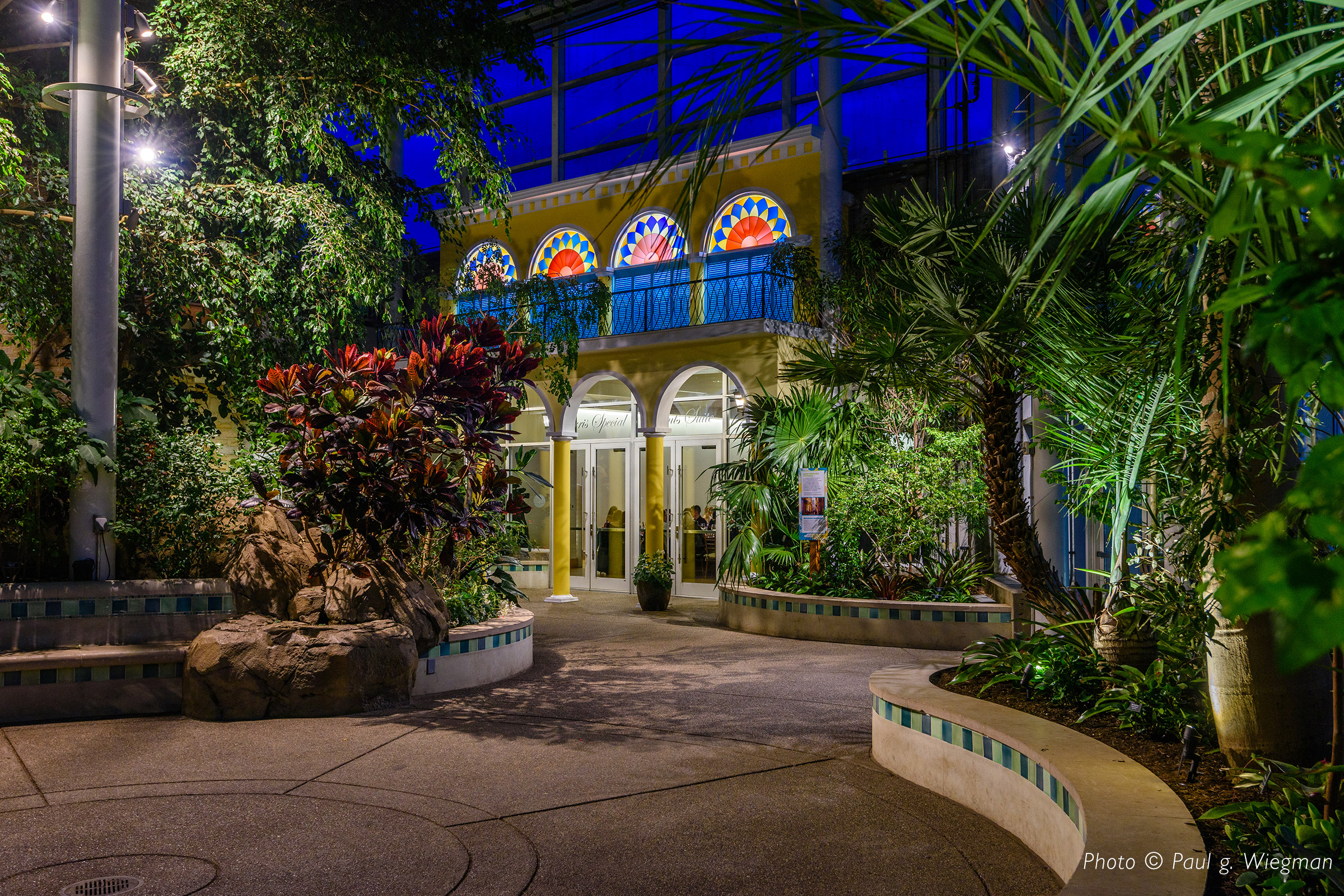 Tropical Forest Patio