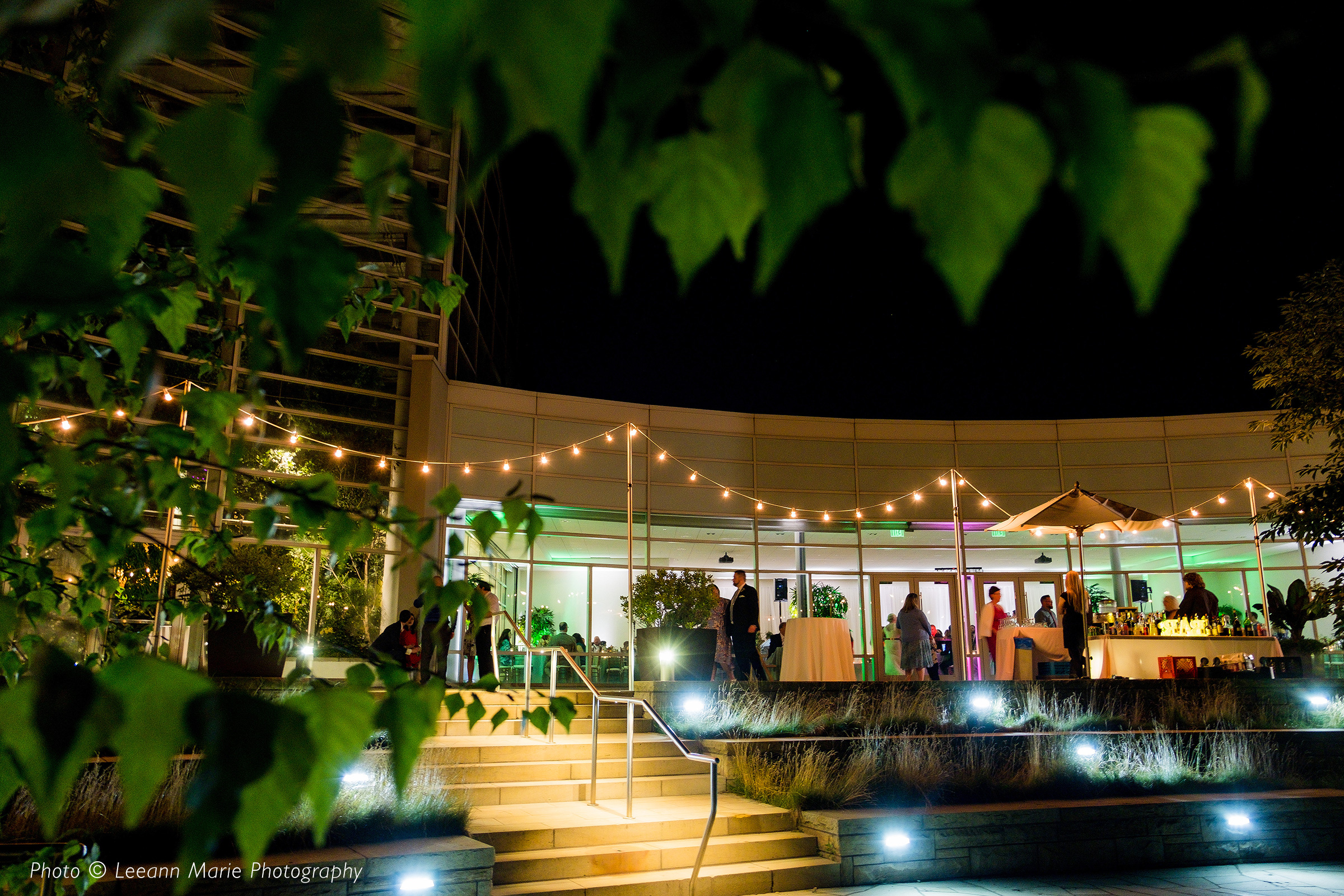 Tropical Forest Patio