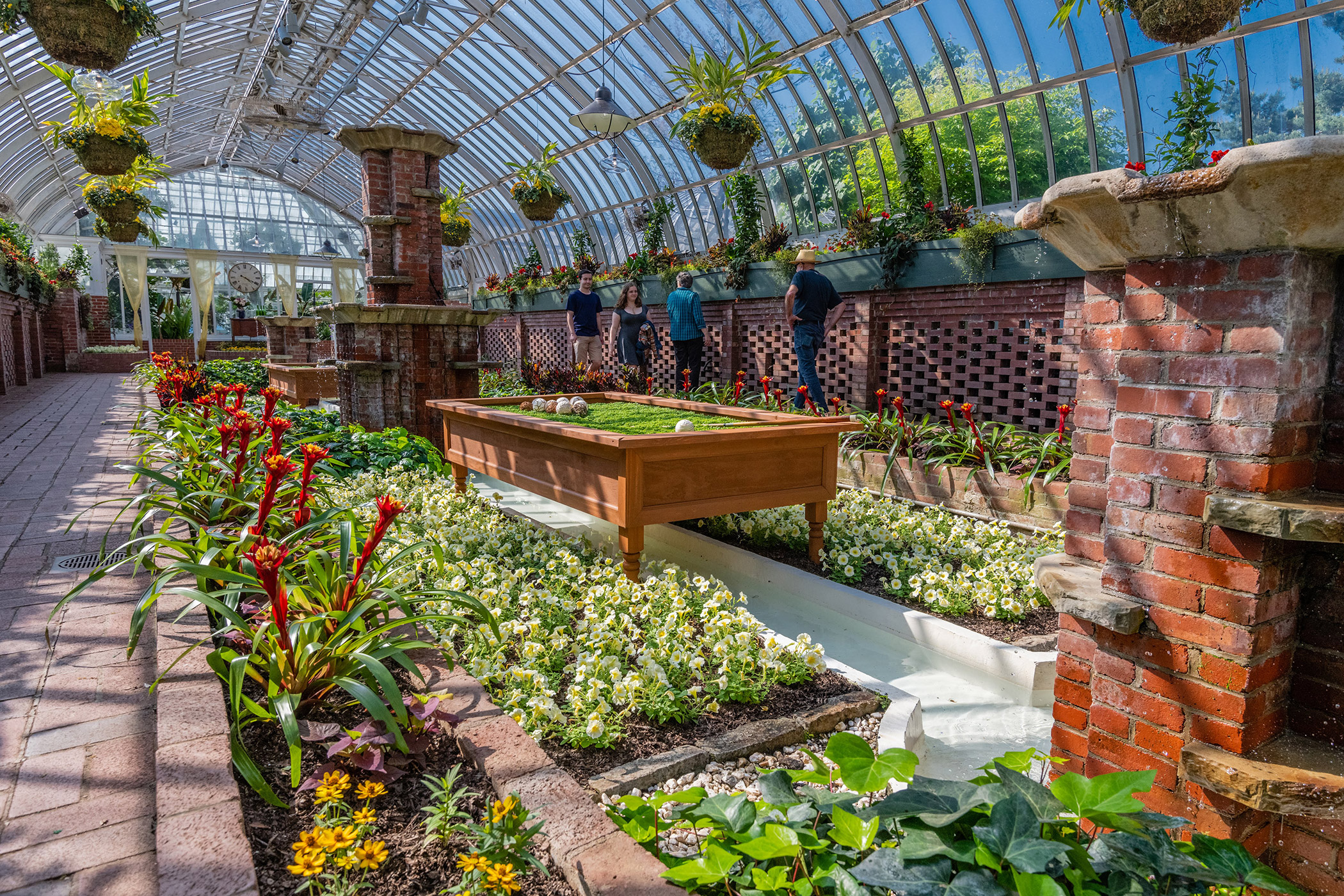 bioPGH: Forget-me-nots  Phipps Conservatory and Botanical Gardens