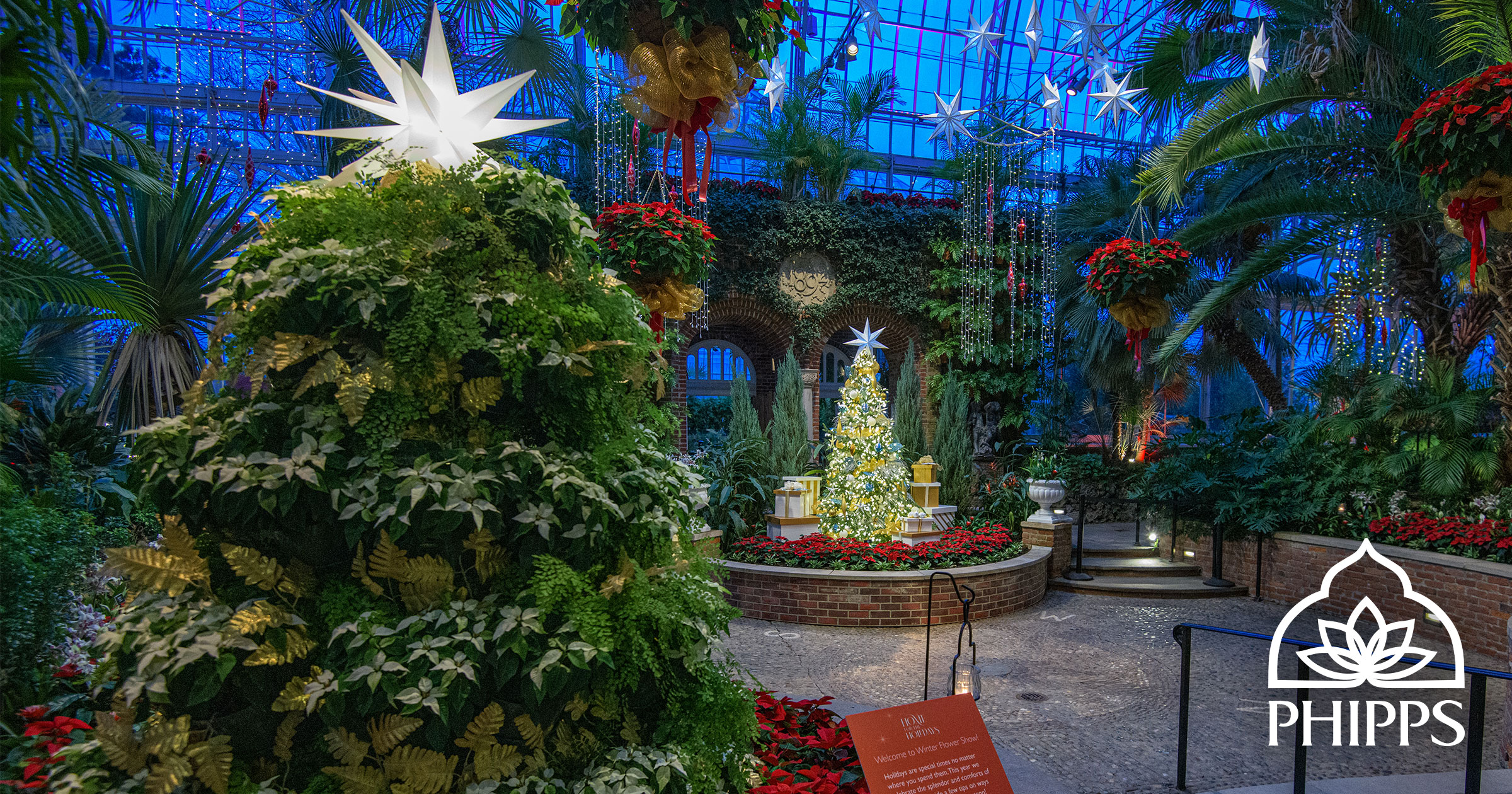 Virtual Winter Show Tour