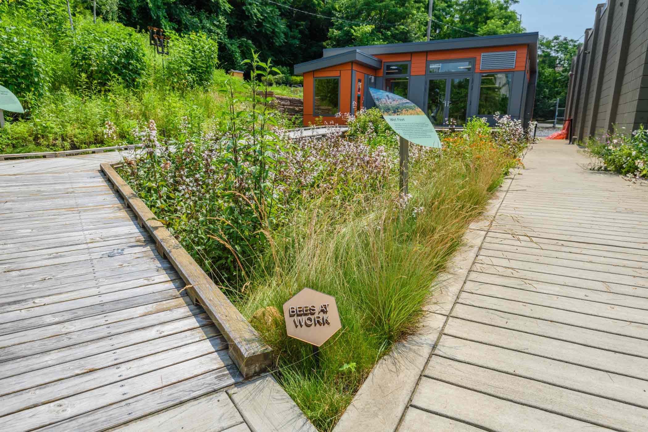 The Nature Lab, home of Phipps' beehives.