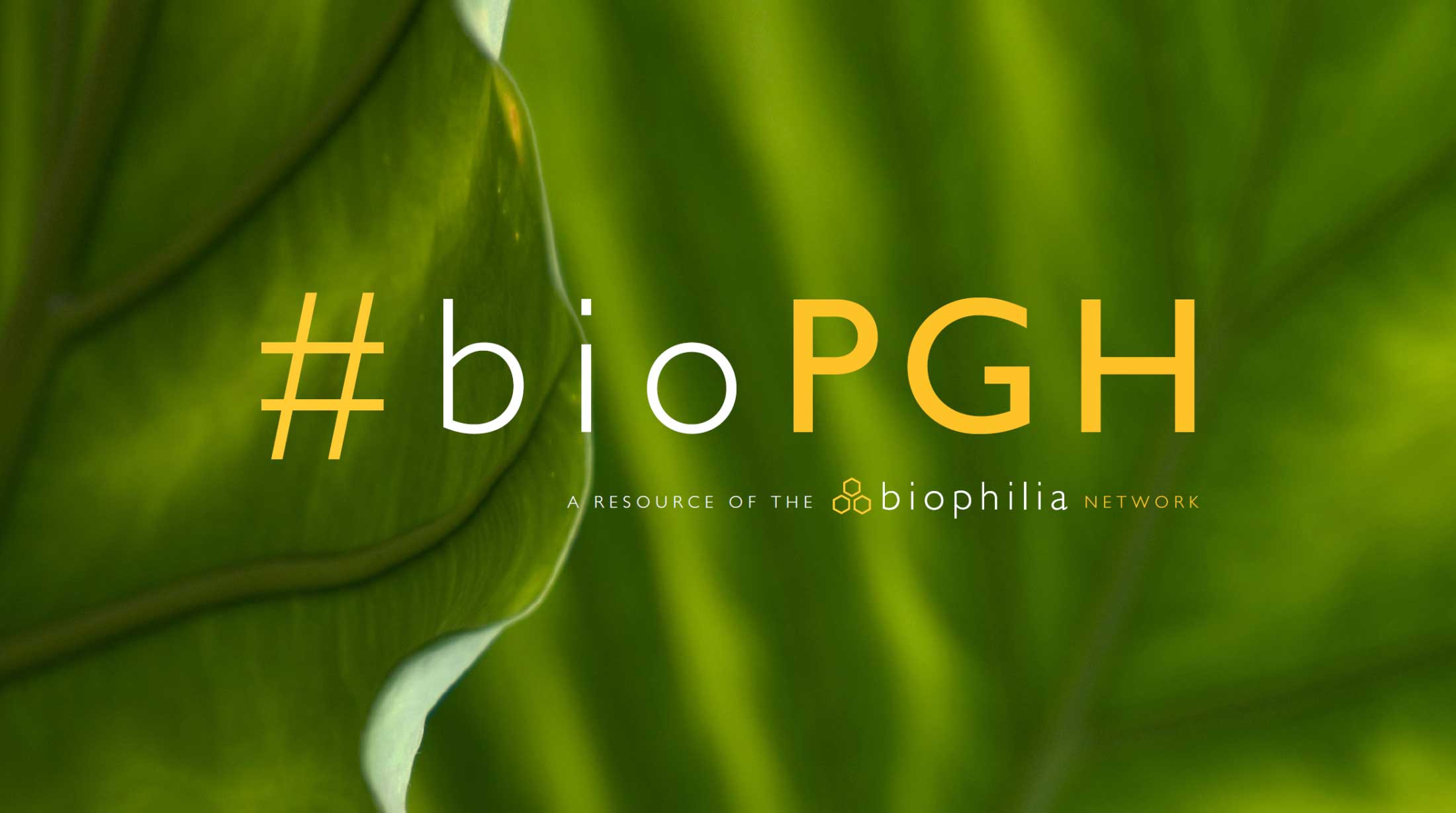 #bioPGH Blog