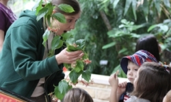 Camp for Ages 3-17 Scholarships