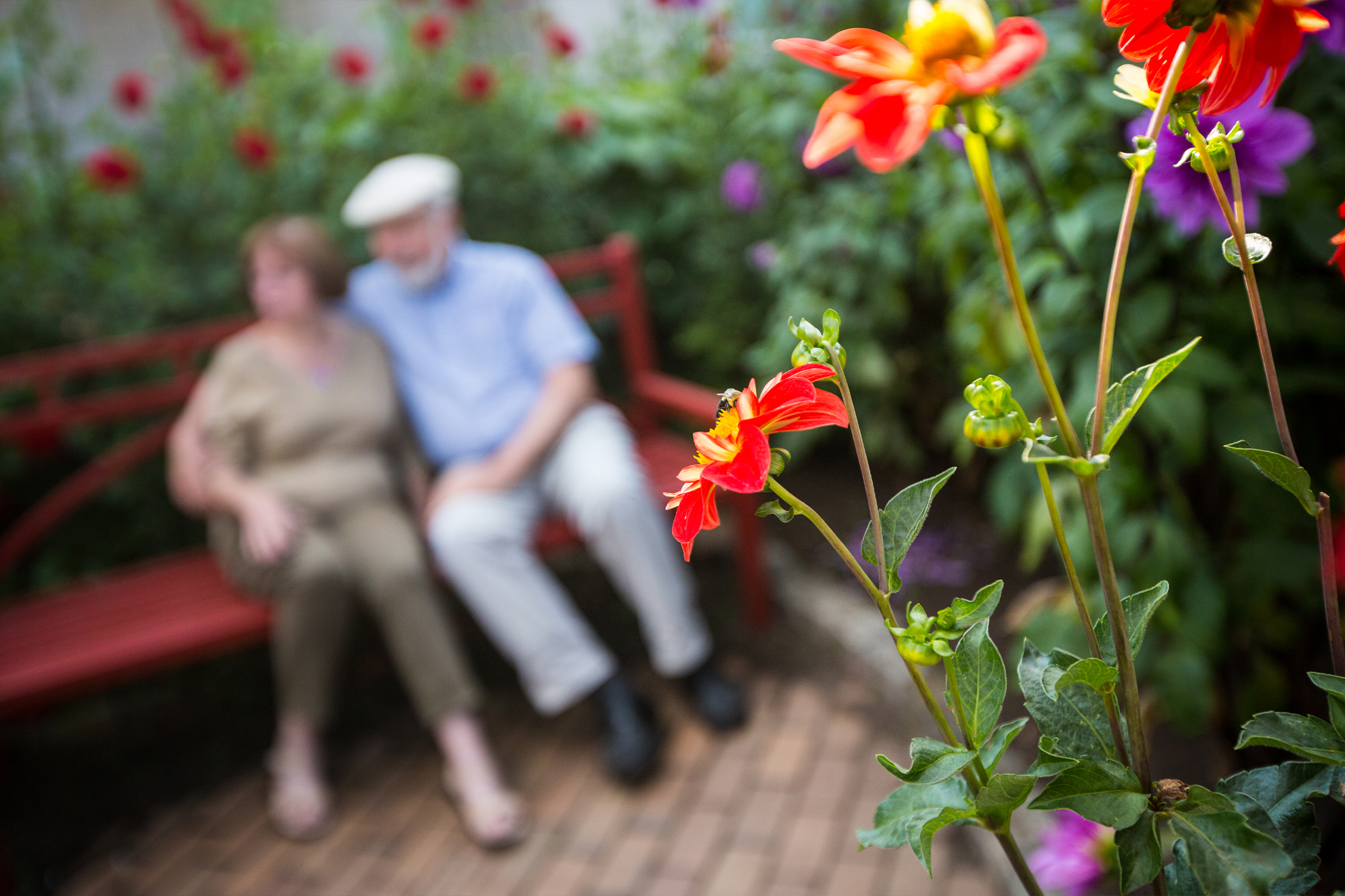 Couple in garden