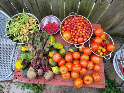 Photo credit: Allison Glick