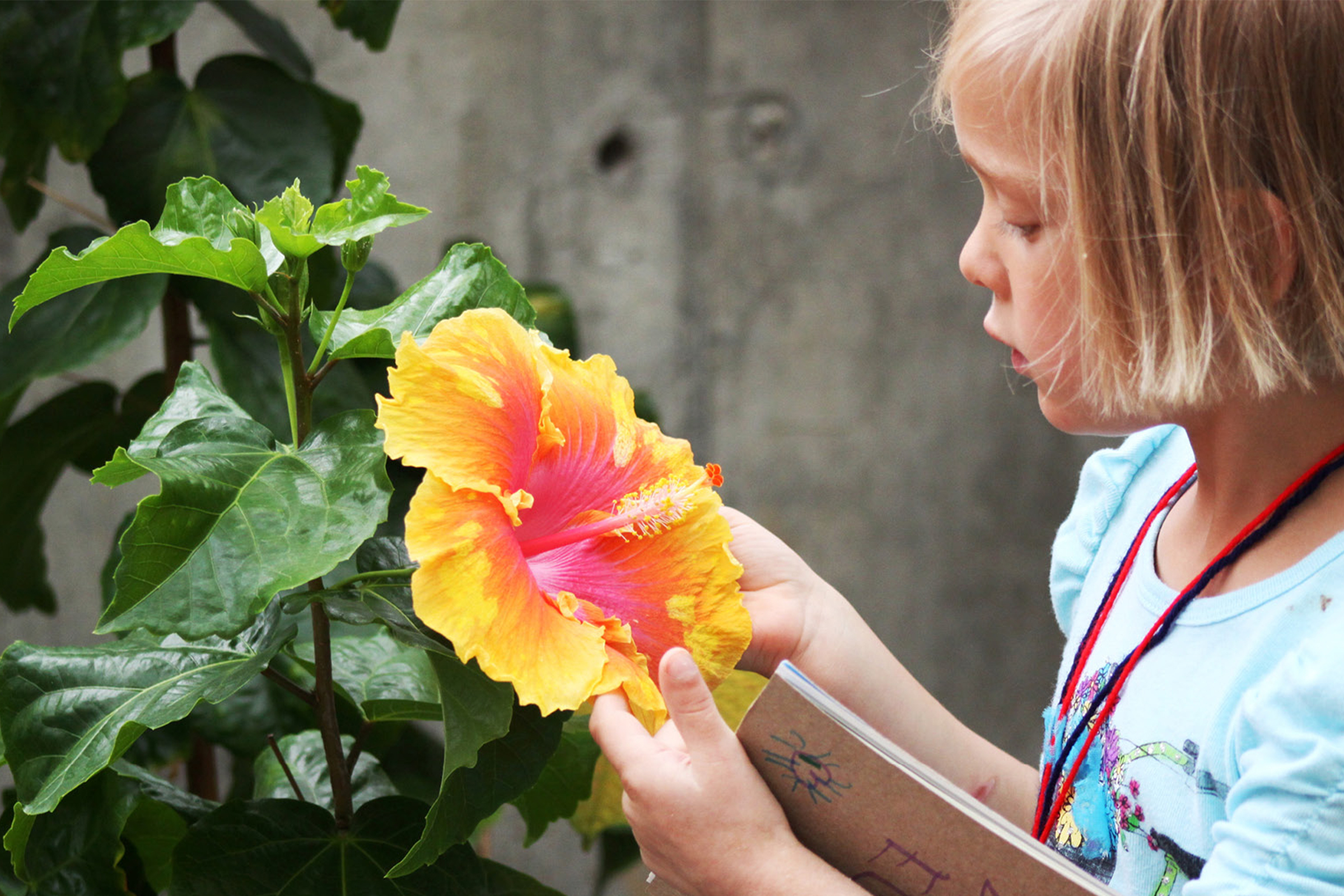 Girl looking at flower