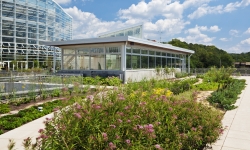 Green Roof Planting Section
