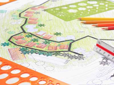 Botanical Art and Illustration