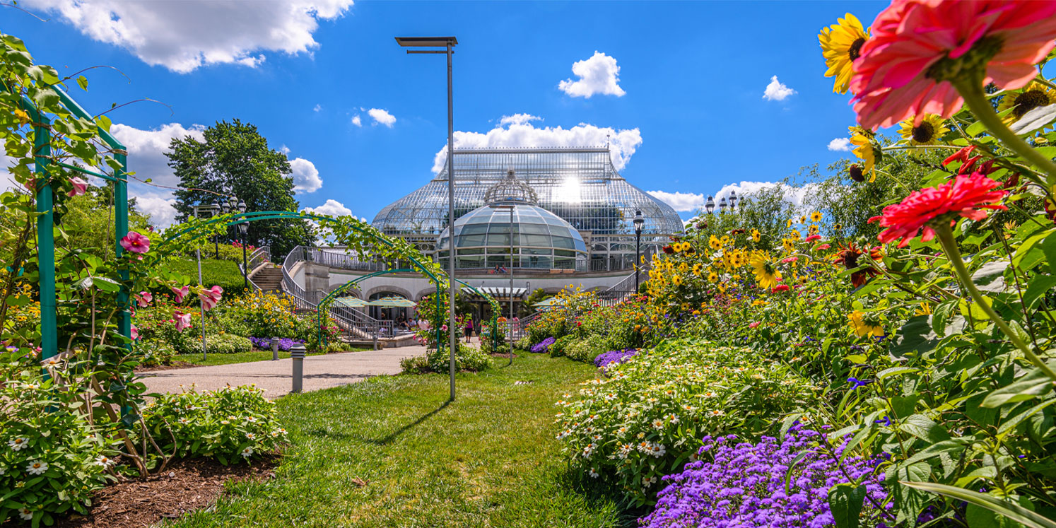 bioPGH: Acorns Ahead!  Phipps Conservatory and Botanical Gardens