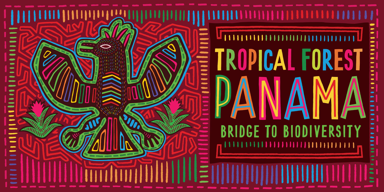 Tropical Forest Hawai'i