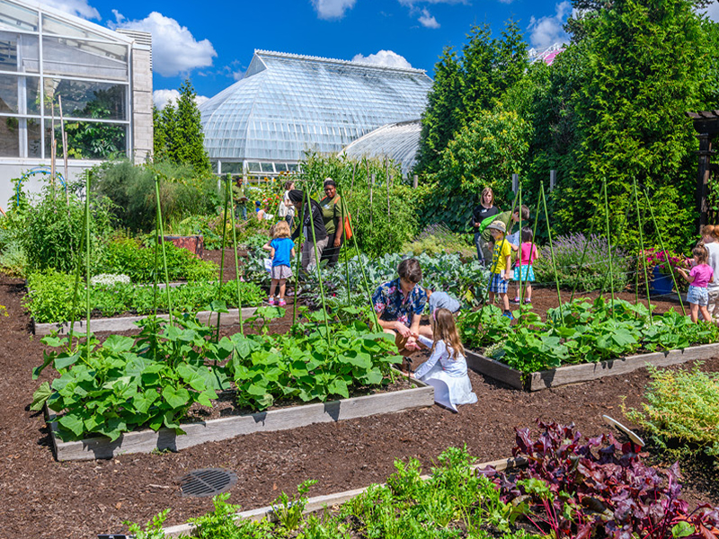 Edible Garden at Phipps Conservatory