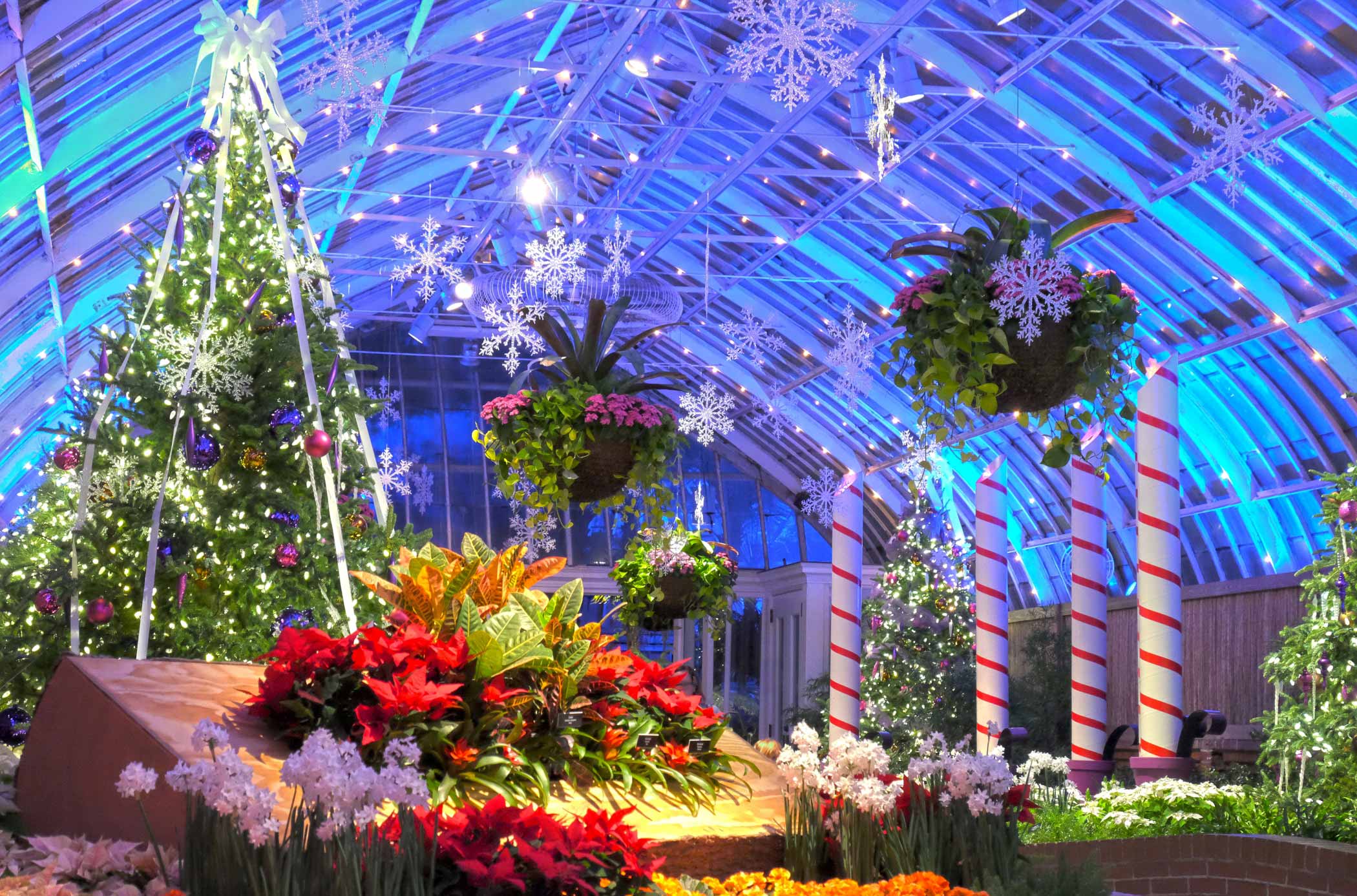 Holiday Magic: Let It Glow! | Phipps Conservatory and Botanical Gardens