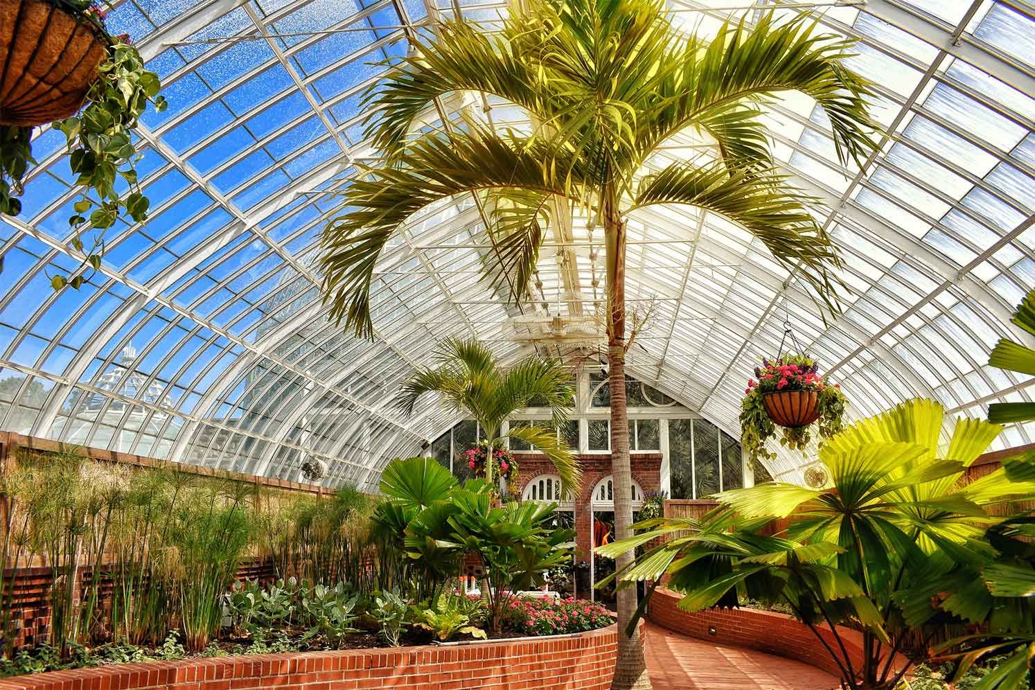 Summer Flower Show: Back in Bloom | Phipps Conservatory and Botanical ...