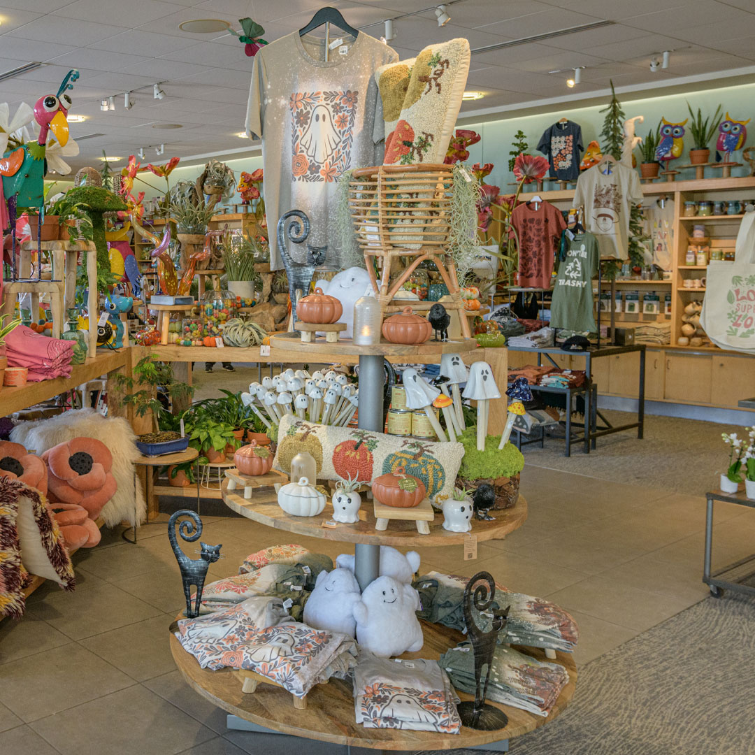 shop shop
