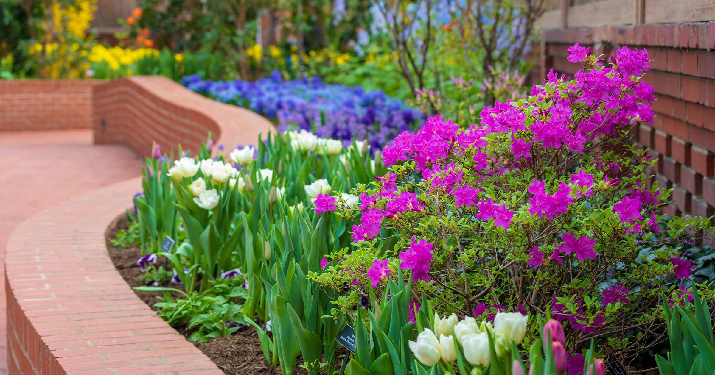 Spring Flower Show Canopy of Color Phipps Conservatory and Botanical