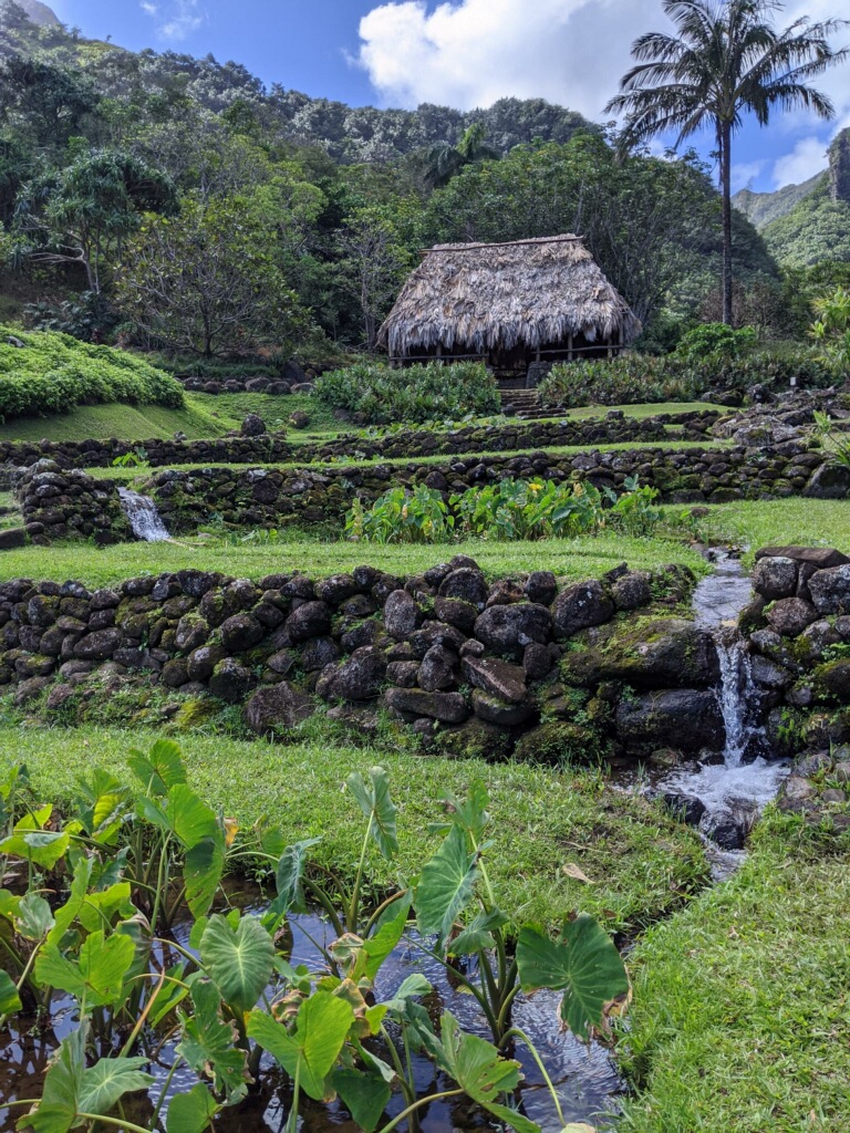 Research trip to Hawaii