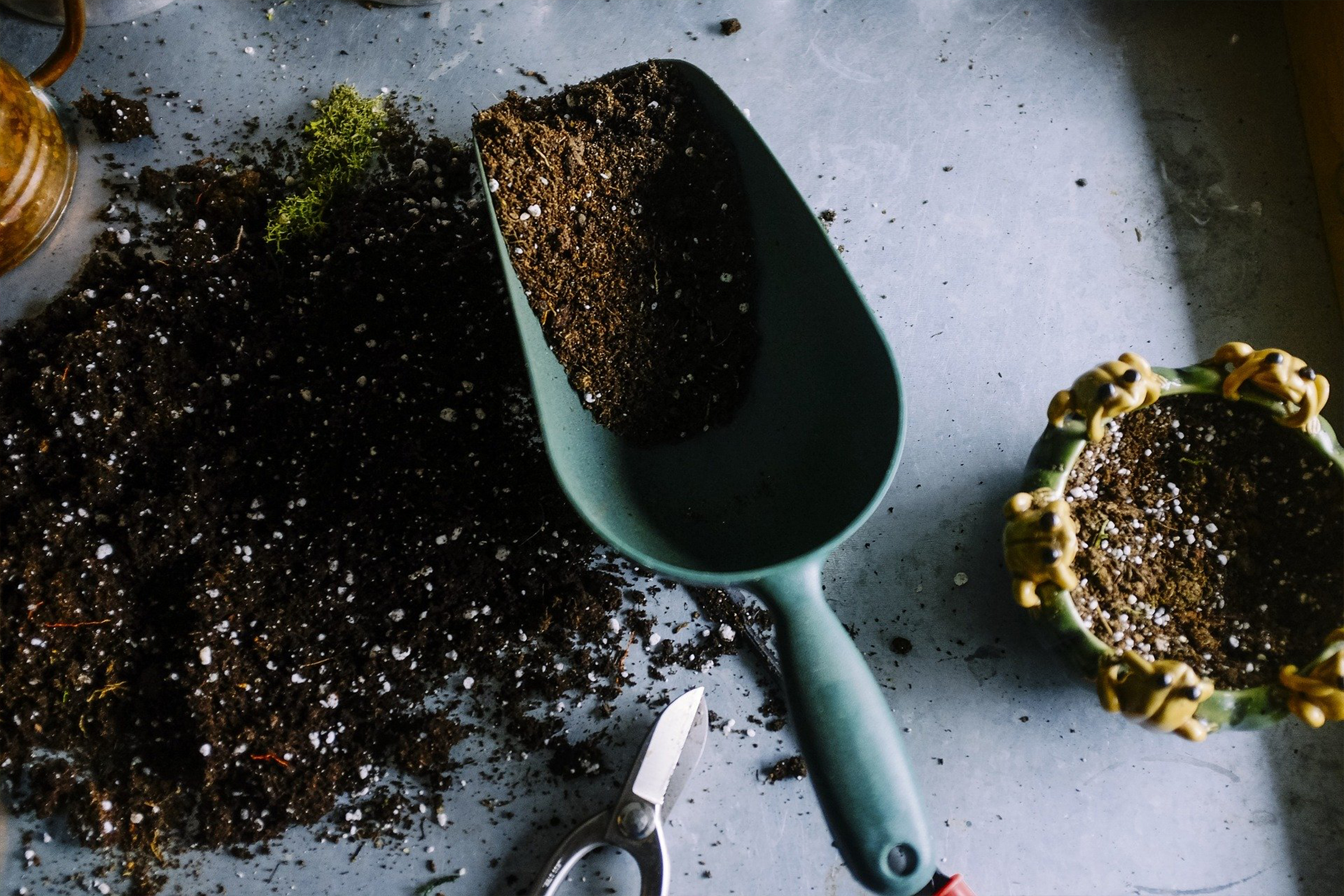 photo of shovel and soil