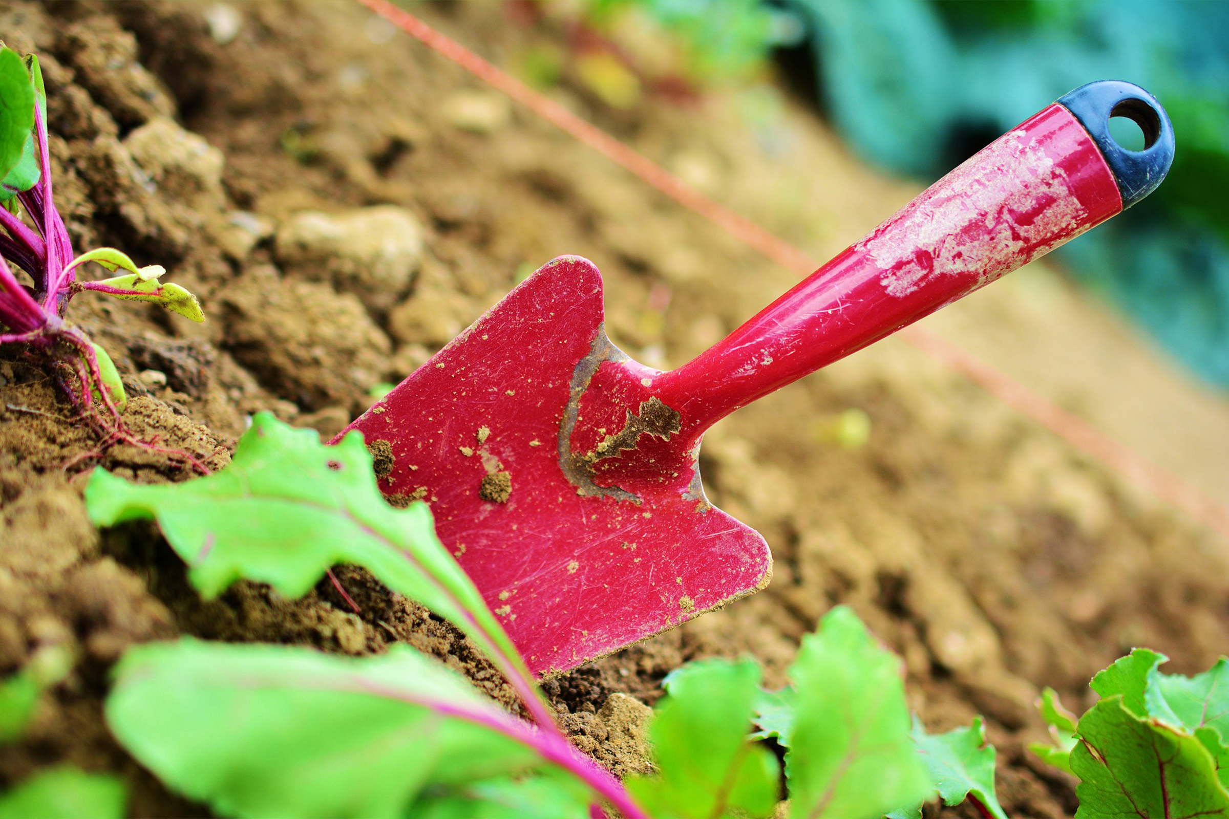 photo of shovel in soil