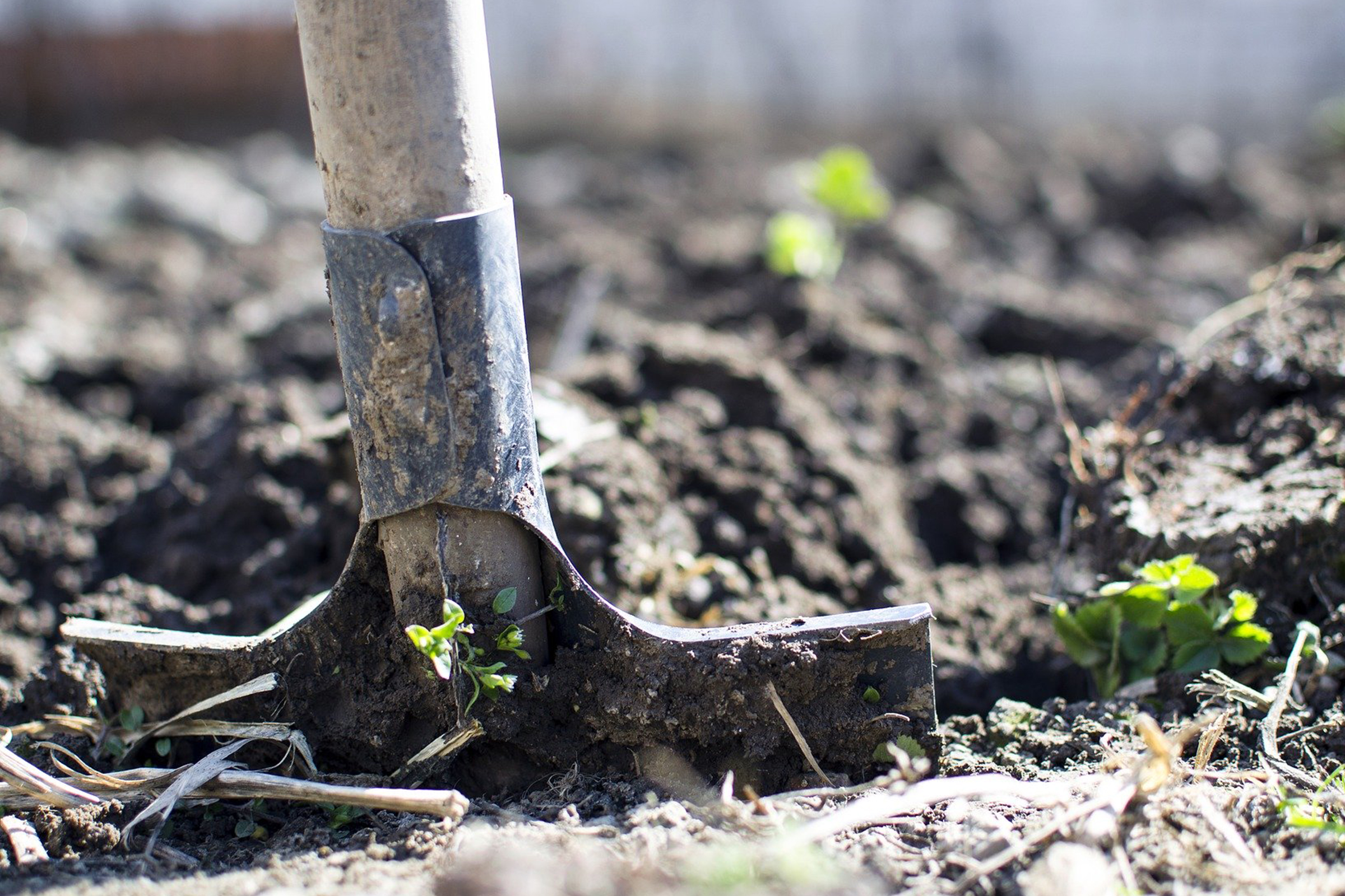 photo of shovel in soil