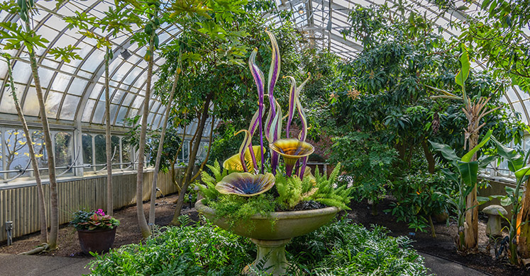 This Week at Phipps: Feb. 18 – Feb. 24 This Week at Phipps: Feb. 18 – Feb. 24