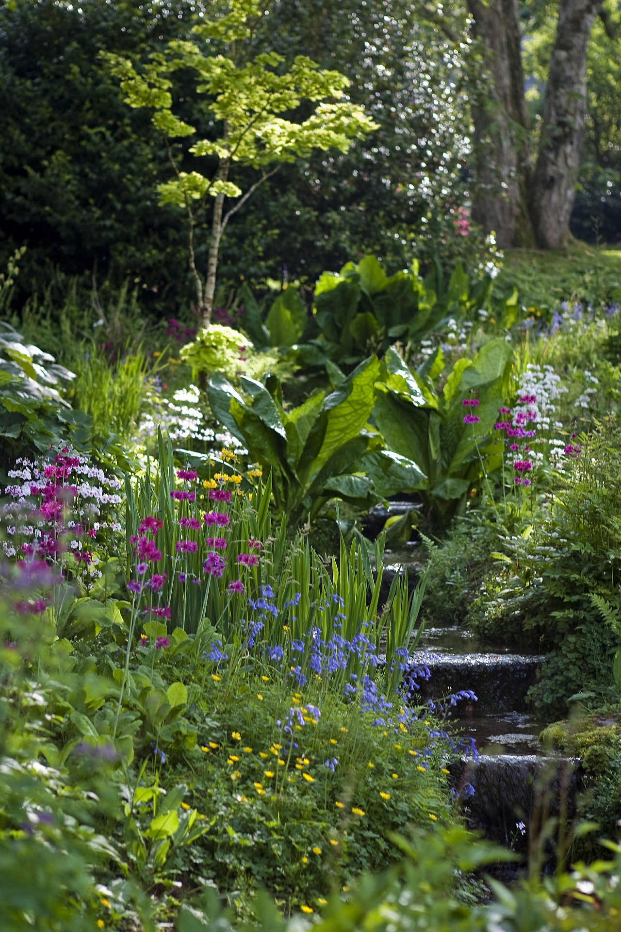 photo of a hillside garden