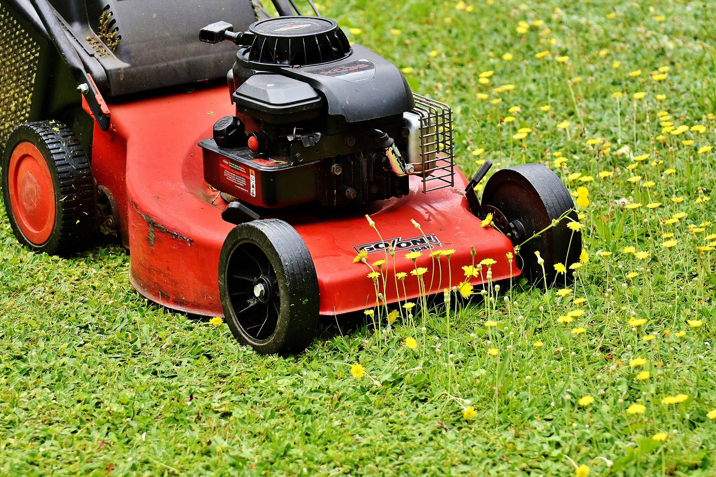 lawn mower cutting grass