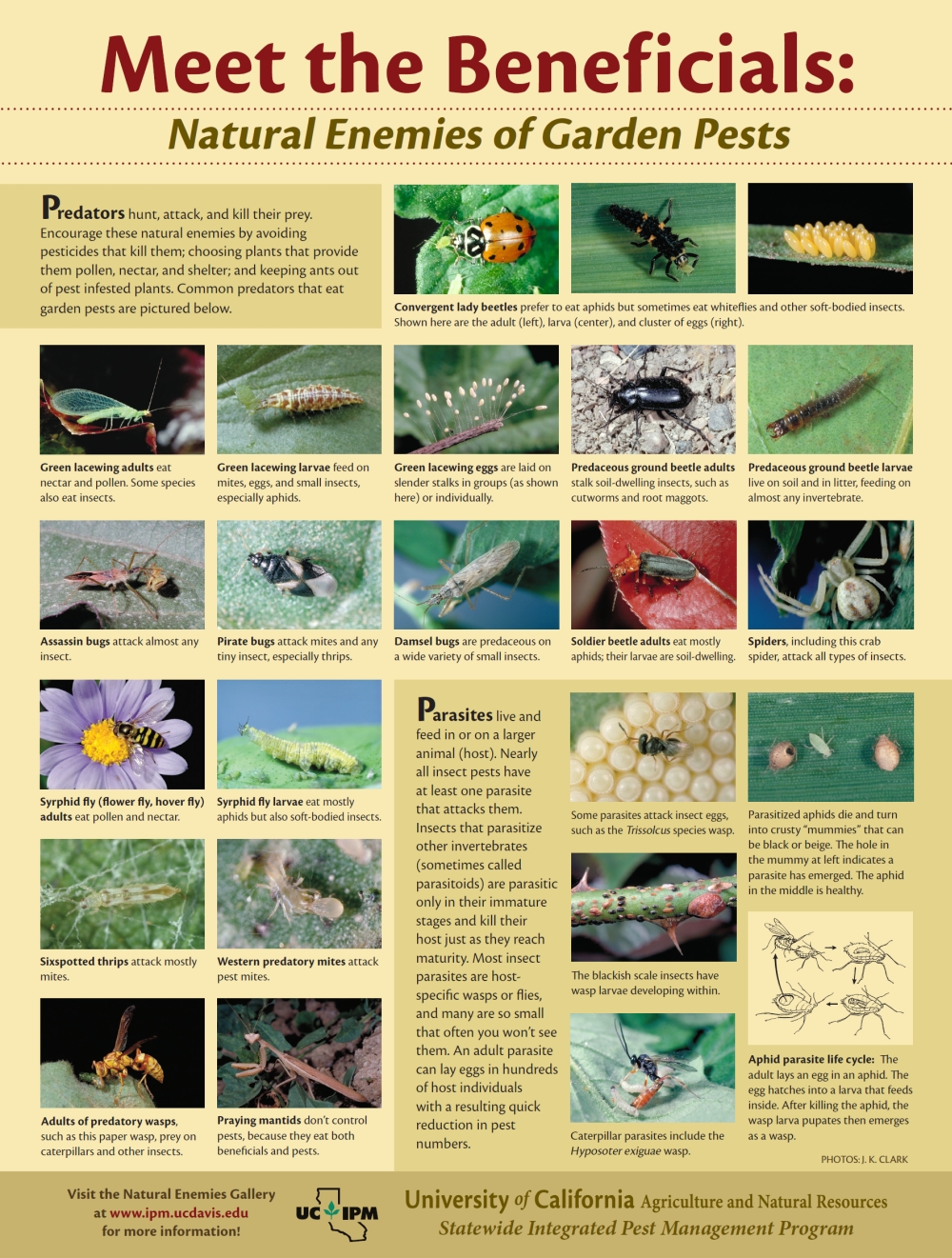 Useful insects deals