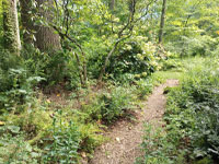 Ecological Gardening | Landscape and Garden Design Ecological Gardening | Landscape and Garden Design