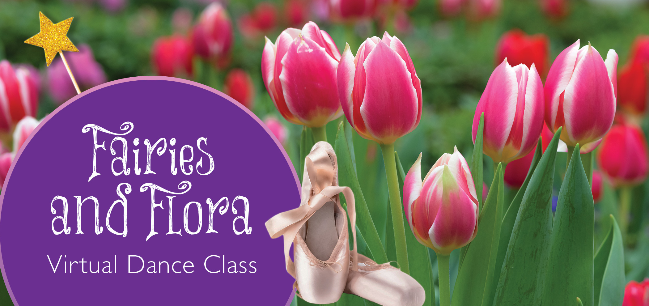Fairies and Flora Virtual Dance Class