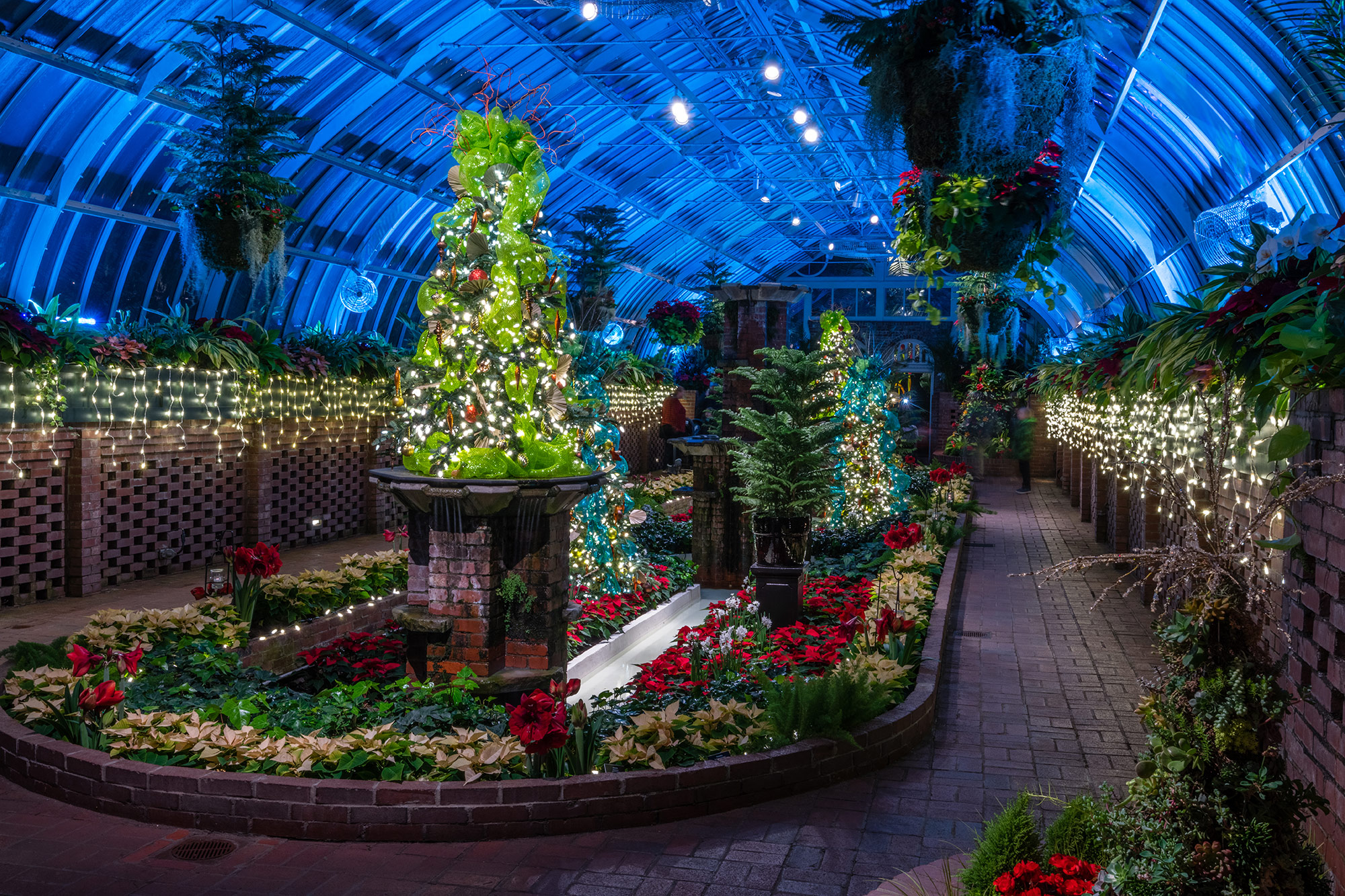 Winter Flower Show: Home for the Holidays | Phipps Conservatory and