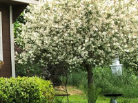 Ecological Gardening | Landscape and Garden Design Ecological Gardening | Landscape and Garden Design