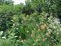 Ecological Gardening | Landscape and Garden Design Ecological Gardening | Landscape and Garden Design