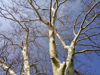 Ecological Gardening | Landscape and Garden Design Ecological Gardening | Landscape and Garden Design