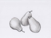 Botanical Art and Illustration Botanical Art and Illustration