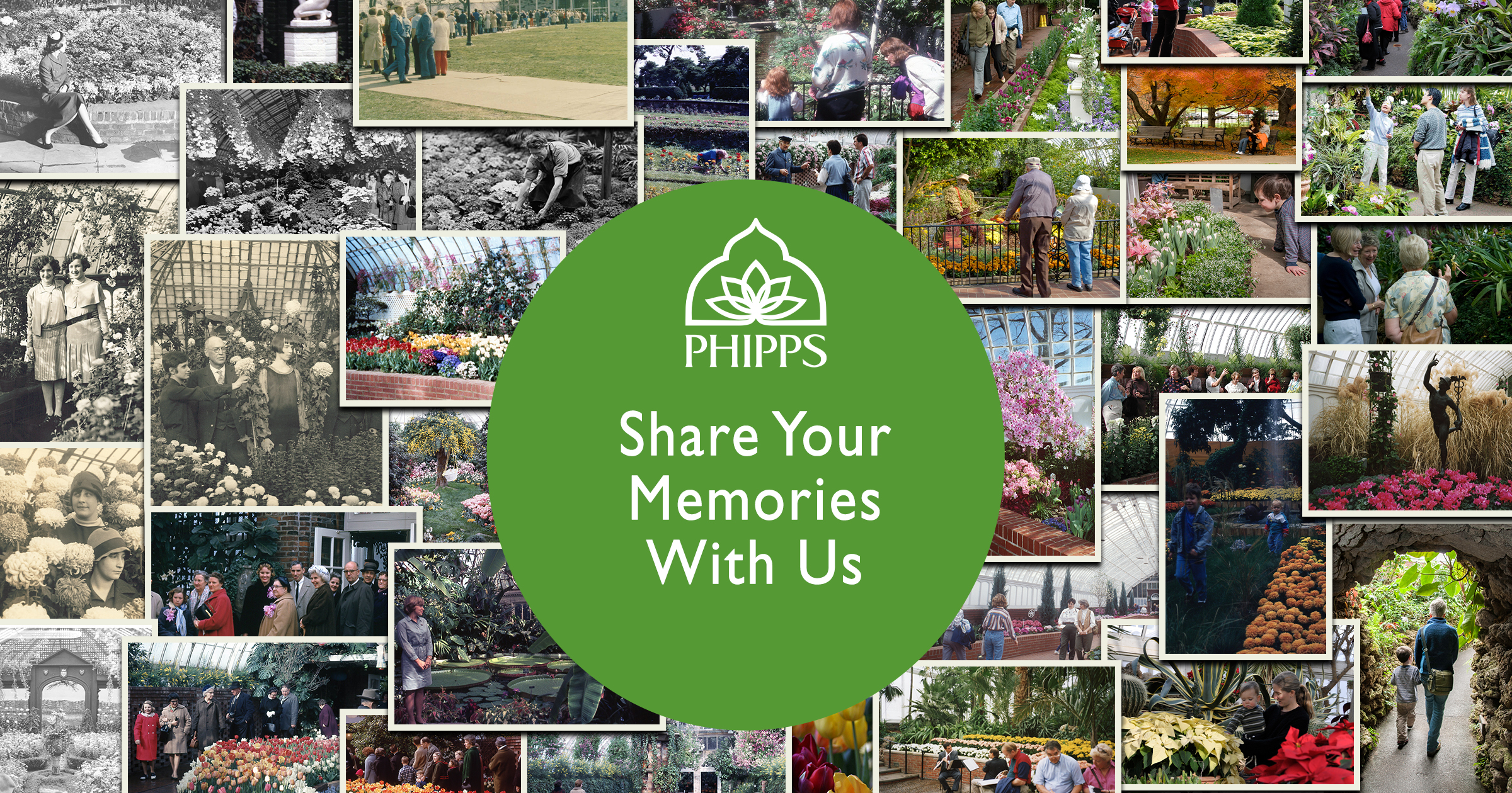 Share Your Memories With Us