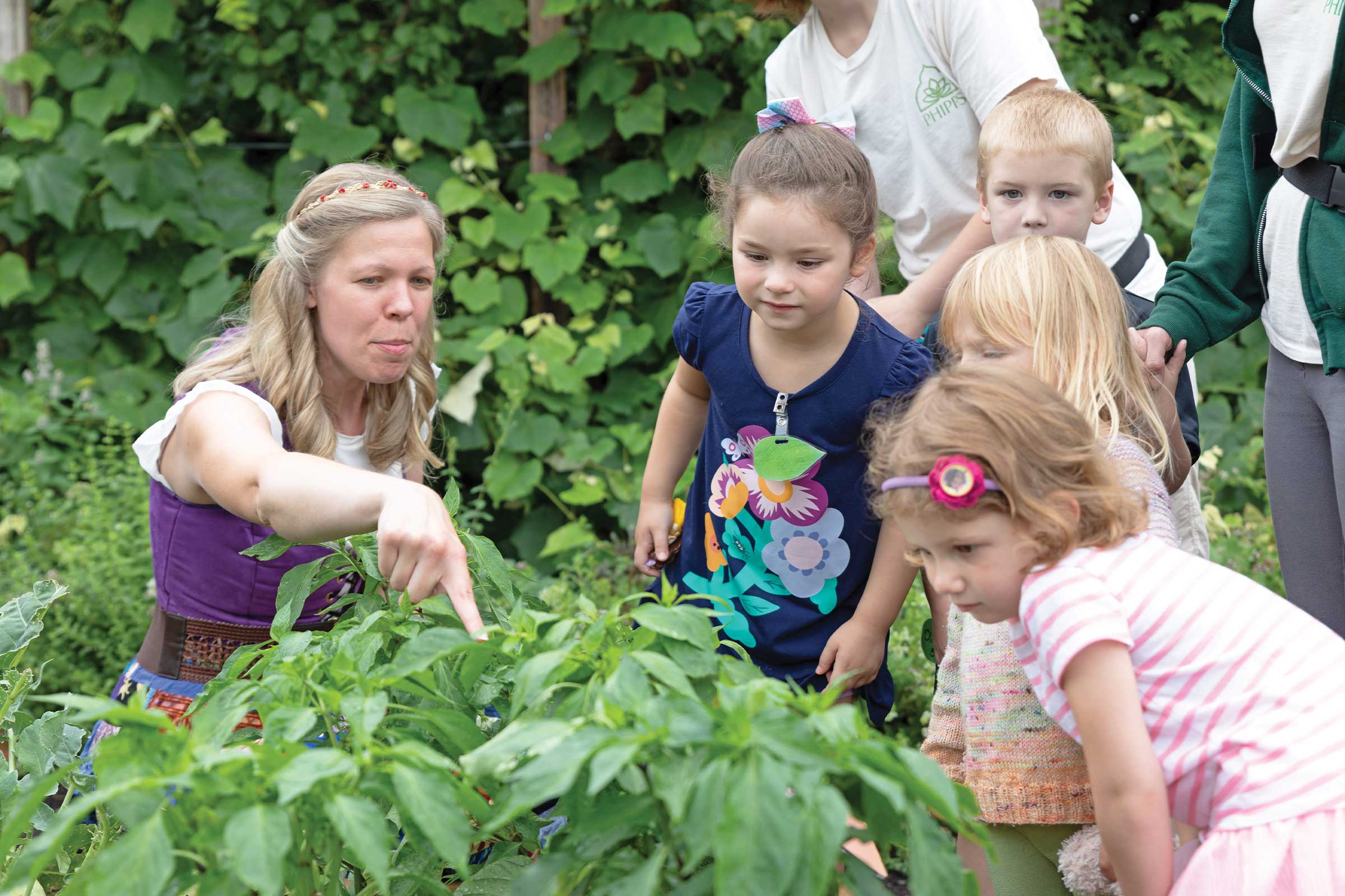 Teaching children about pollinators