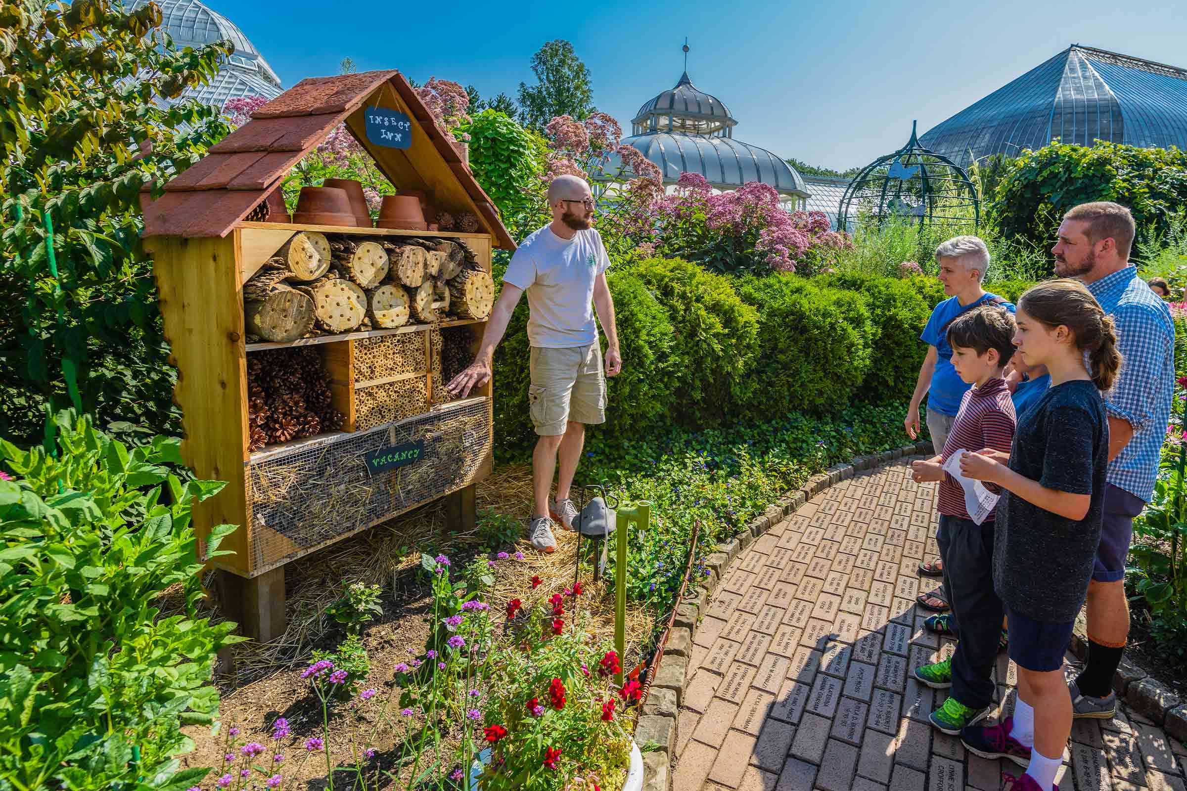 Teaching a group of people about bees