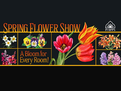 Phipps Virtual Video Tours Phipps Virtual Video Tours