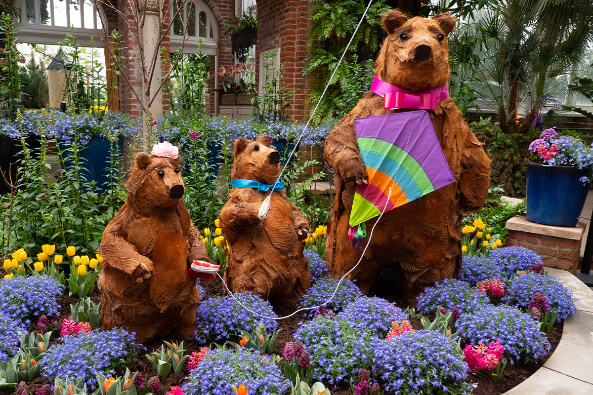 Spring Flower Show: Canopy of Color Spring Flower Show: Canopy of Color